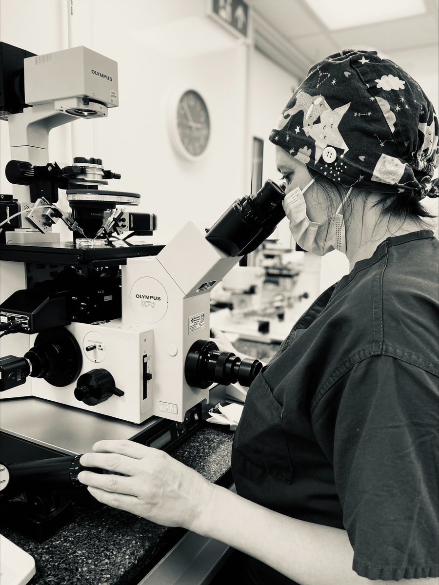 BCRMFertility's tweet photo. Day 4 #hcsweek2022 #teamBCRM
Heather #SeniorClinicalEmbryologist #ICSI high-powered microscope with micro manipulators to select a sperm which is immobilised & collected into a fine needle which can then be carefully injected directly into an egg #icsijourney @ARCScientists https://t.co/wp9n3p4It9