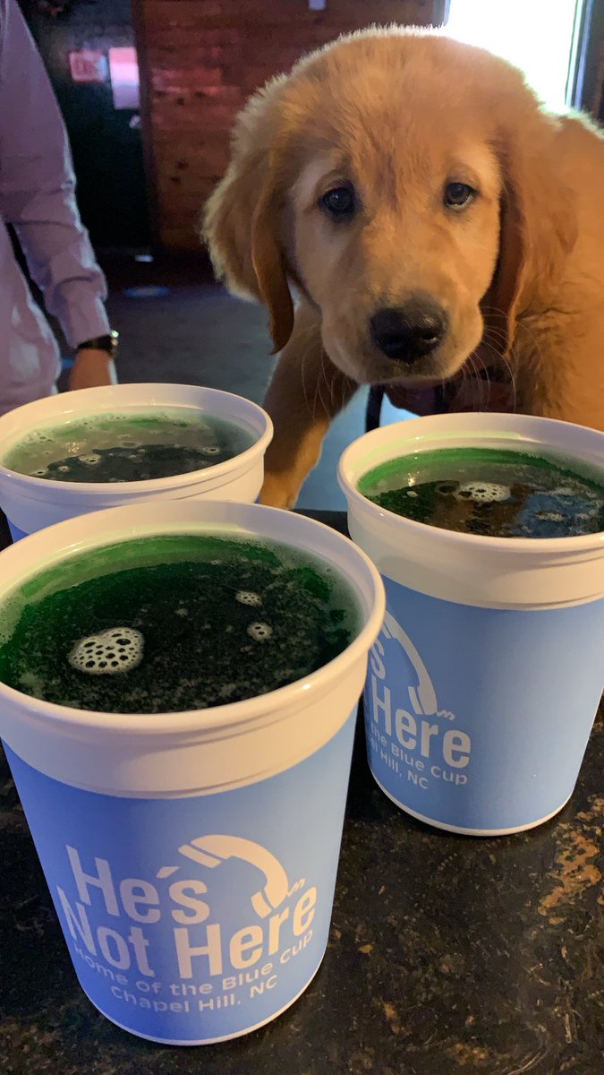 Hes_Not_Here's tweet photo. St. Patrick’s Day and the Heels are playing, drink up! #BlueCups #GreenBeerDay https://t.co/afE8GR0FU9