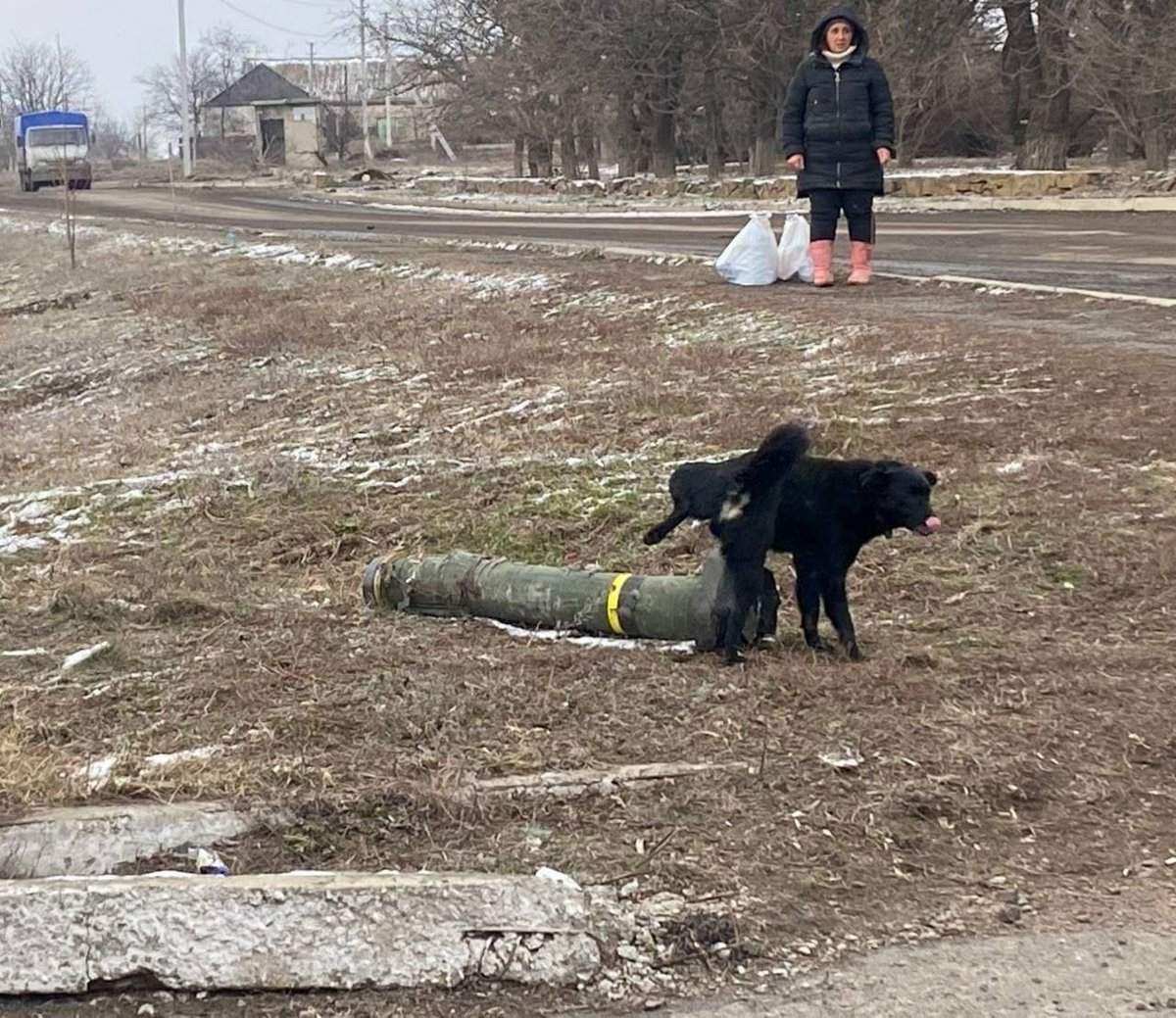 WarriorPoet_72's tweet photo. From Donbass With Love https://t.co/sJBcPGPOML