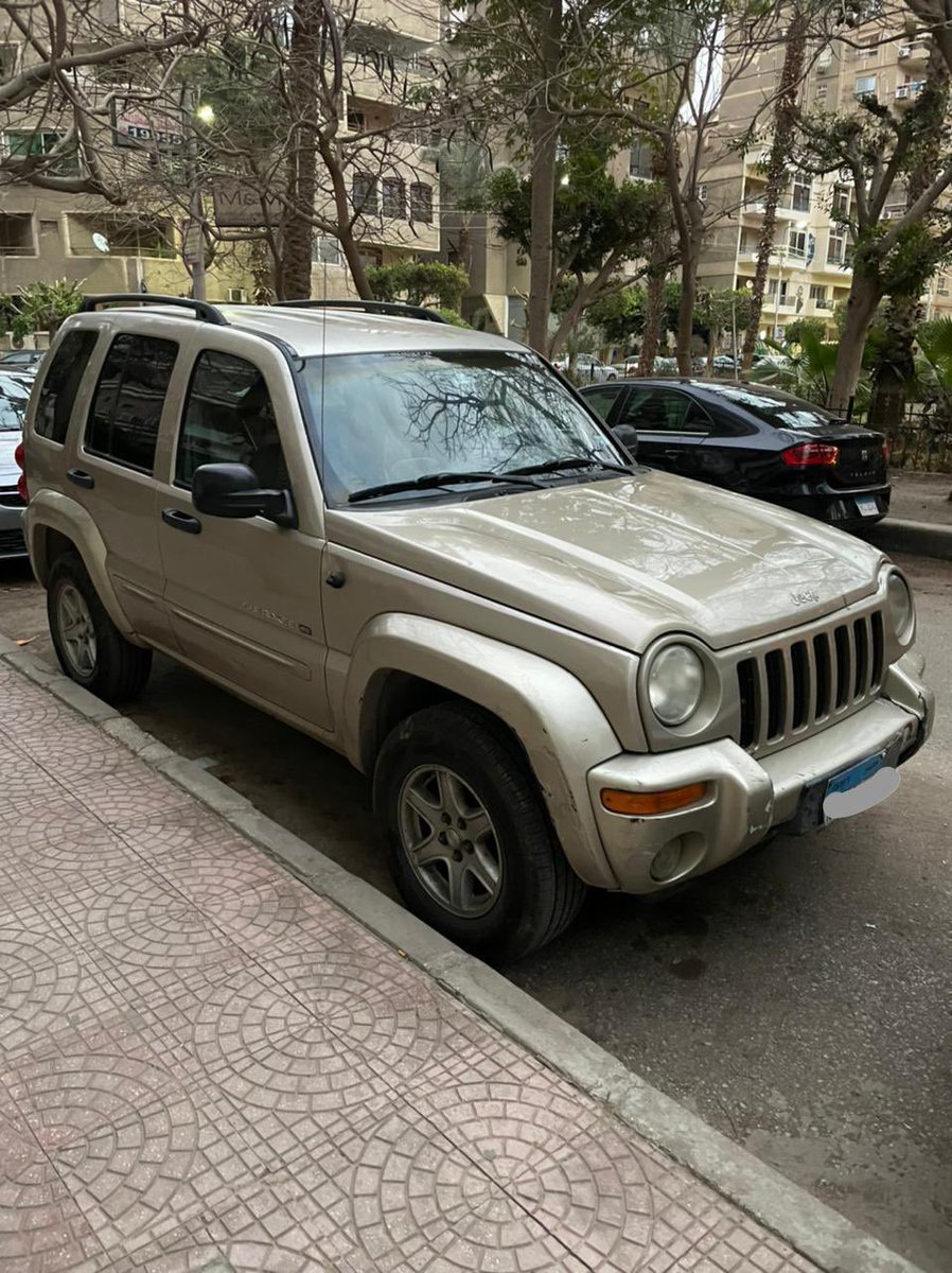 Dina Wassef tweet media