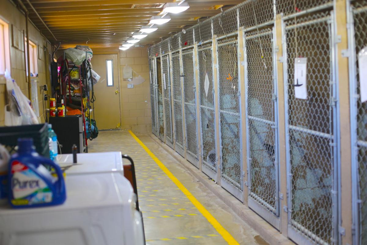 Humane Society So AZ tweet media