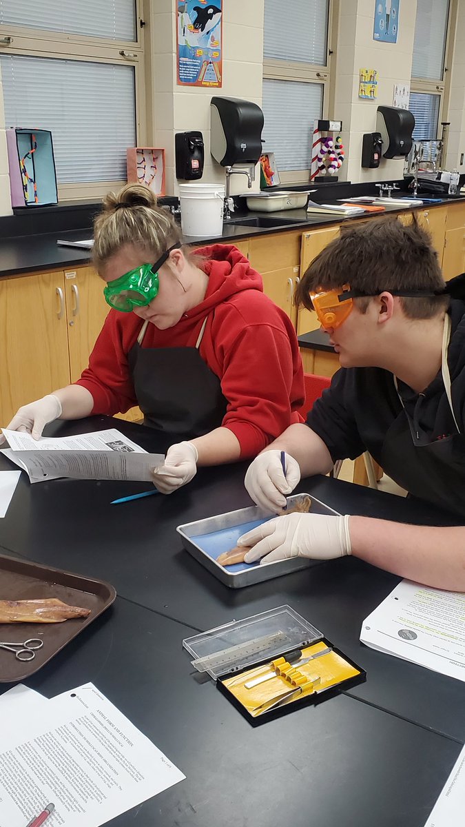 Jellyfish &amp; Squid Dissection Day

#ebshare