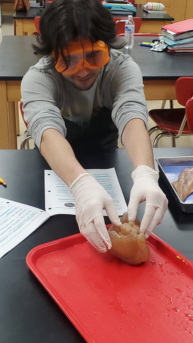 EHS Life Sciences - Rachel Hauck tweet media