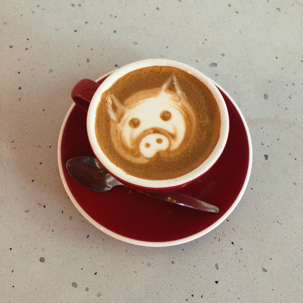 lil piggy flat white 🐷