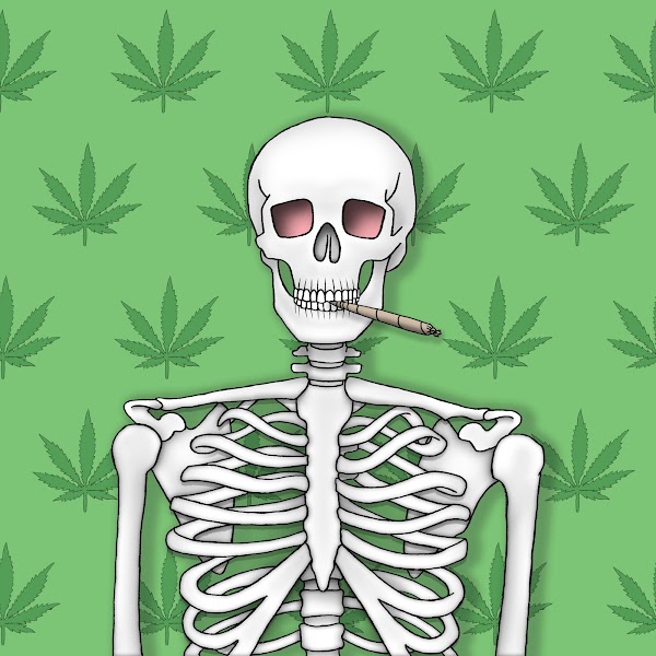 catdad44 tweet media