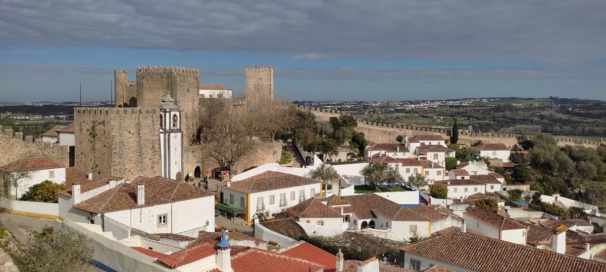 Jack Moscrop tweet media