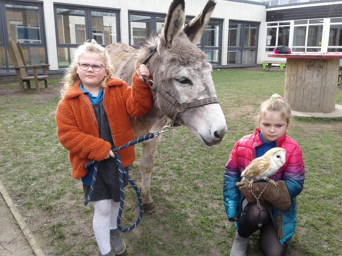 Offley Primary tweet media