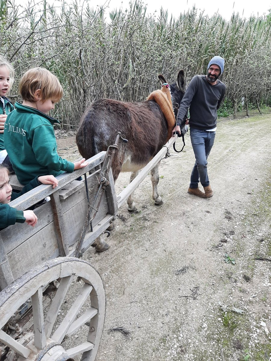 StJuliansEY's tweet photo. #StJuliansNursery Enjoying a visit to the Quinta da Granja. They made bread, saw the animals and went for a ride on a cart pulled by the donkey. #StJuliansFoundation. https://t.co/QcvUUovz3k