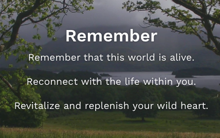 TalkToMeGuy's tweet image. Now @kpfaradio @Standupcoyote WooOOOfing w/ Seán Pádraig O’Donoghue, herbalist, writer &amp;amp; Teacher Surfing the Full Moon  St Patrick’s Day Equinoctial Tide
that we may avail ourselves of the Magic, to call in what our humbled rogue species needs to resolve. otherworldwell.com