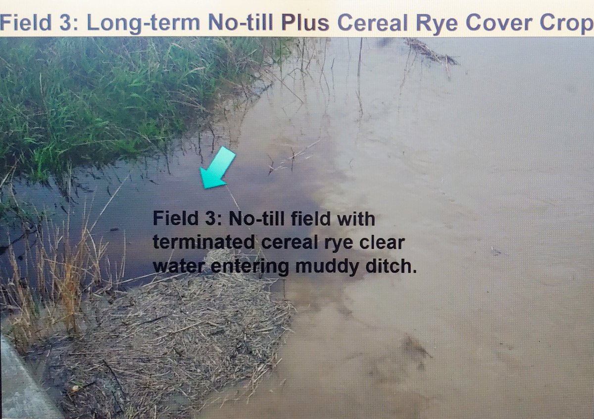RileyTcat's tweet photo. Pictures speak a thousand words. Wil Hemke of @uakron shared his wisdom on why no-till works to reduce #phosphorus It's not just because we lose less soil from the surface but also what goes on in the #soil - but I don't understand soil science enough to paraphrase it :) #SOLE22 https://t.co/BB89aS4aGW