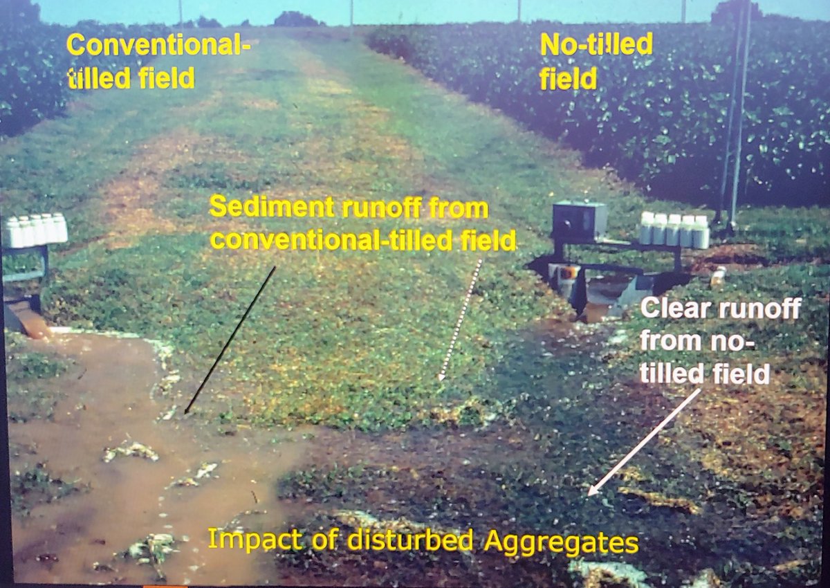RileyTcat's tweet photo. Pictures speak a thousand words. Wil Hemke of @uakron shared his wisdom on why no-till works to reduce #phosphorus It's not just because we lose less soil from the surface but also what goes on in the #soil - but I don't understand soil science enough to paraphrase it :) #SOLE22 https://t.co/BB89aS4aGW
