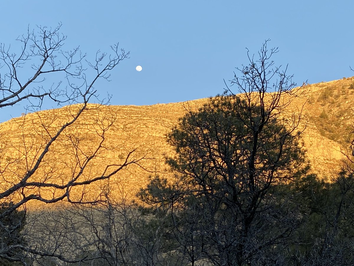 Dgracel's tweet photo. Just wrapped up a perfect getaway spring break trip to far west Texas.  #edgeofcivilization @GuadalupeMtnsNP #wideopenskies https://t.co/cSOFIcEZB8