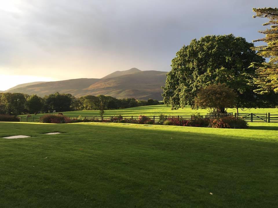 I’m here in spriest today ☘️