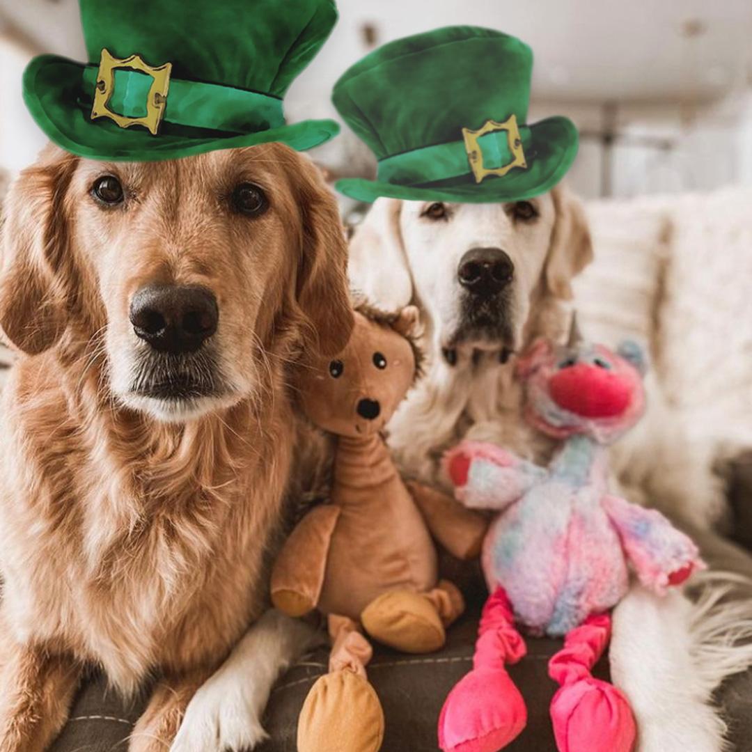 Pet Craft Supply Co. tweet media