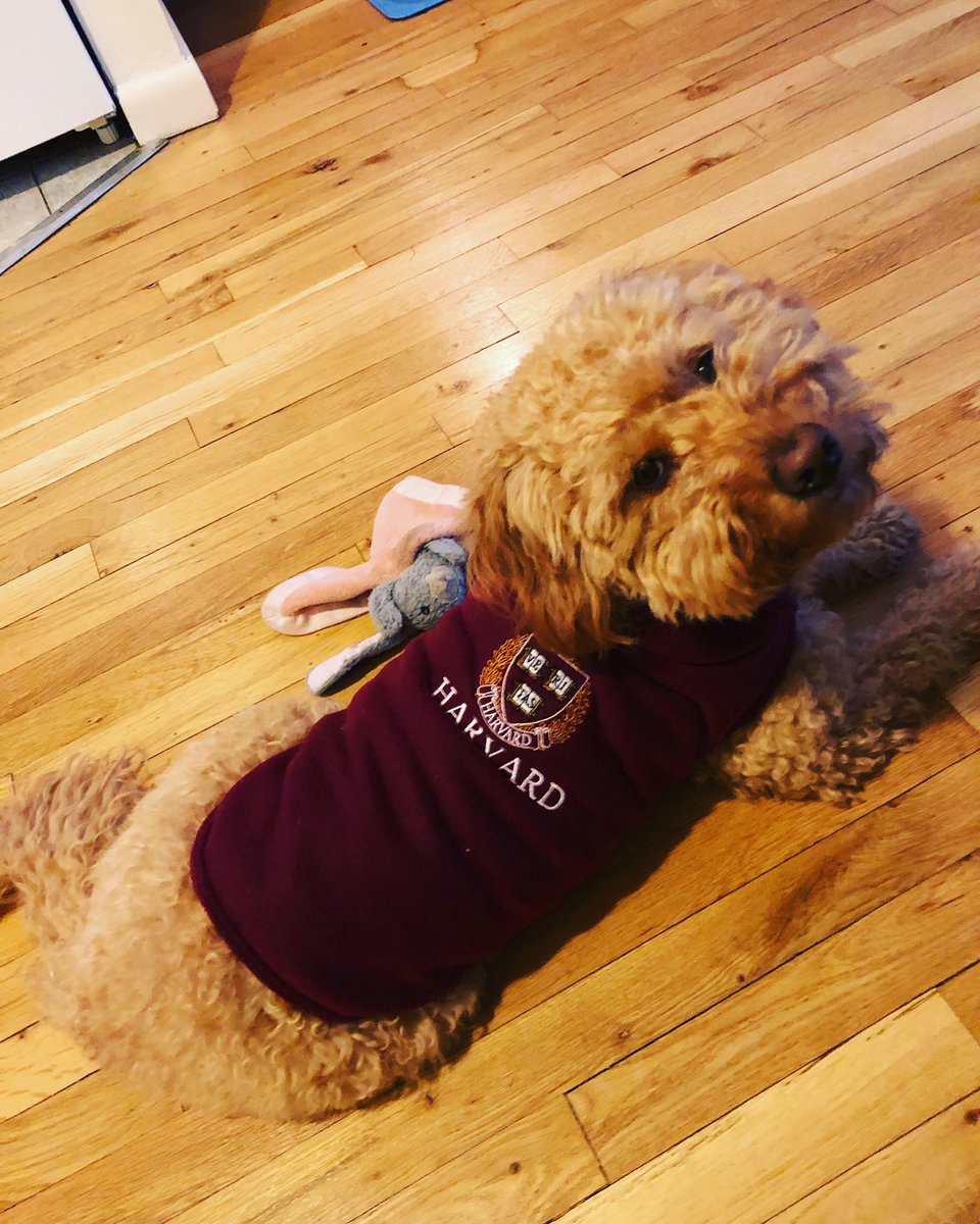 Ross Malik tweet media