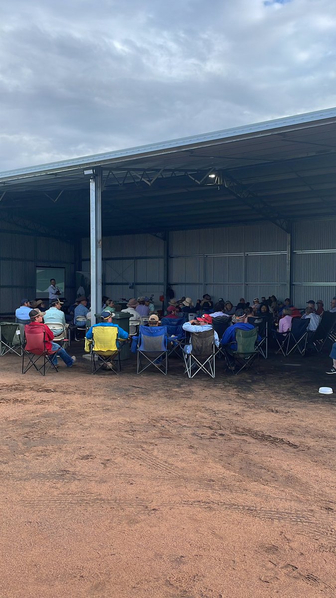 JarrodLees's tweet photo. Talking about all things goats today at the Goat Production Field Day. I’ll show some results from my @ABARES and @meatlivestock Science &amp; Innovation Award. @PeteMcGil https://t.co/SBmv7h3Ew0