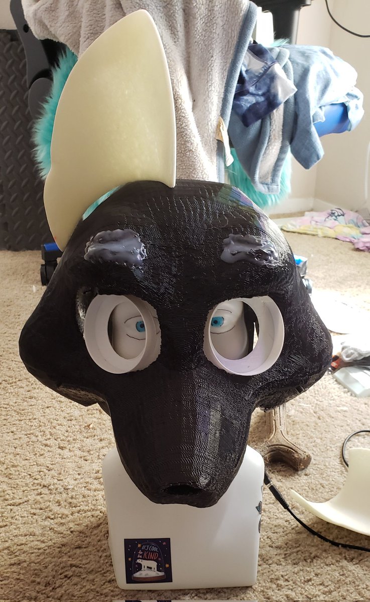 Chill Coyote tweet media