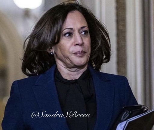 Sandra 💔🇺🇸 tweet media