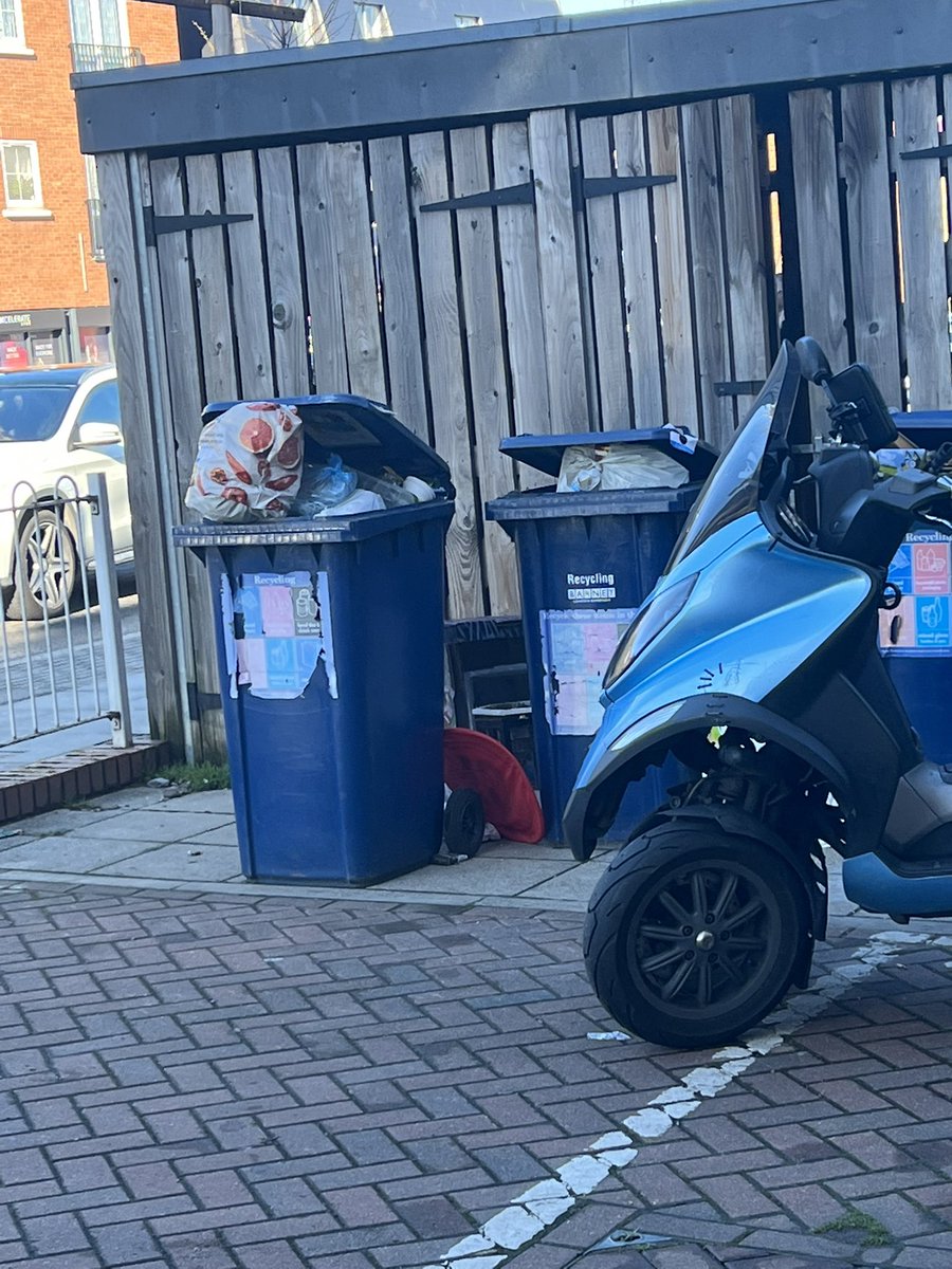 IJakaj's tweet photo. @HelloSanctuary this is horrible@ rats rats rats!!!!
Any chance for empty the communal rubbish bin store https://t.co/XSHycKRcEE