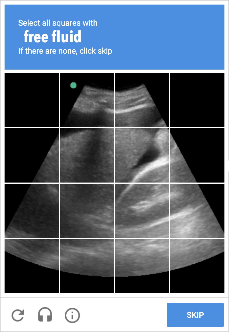 Even CAPTCHA is into #ultrasound 
#pocus