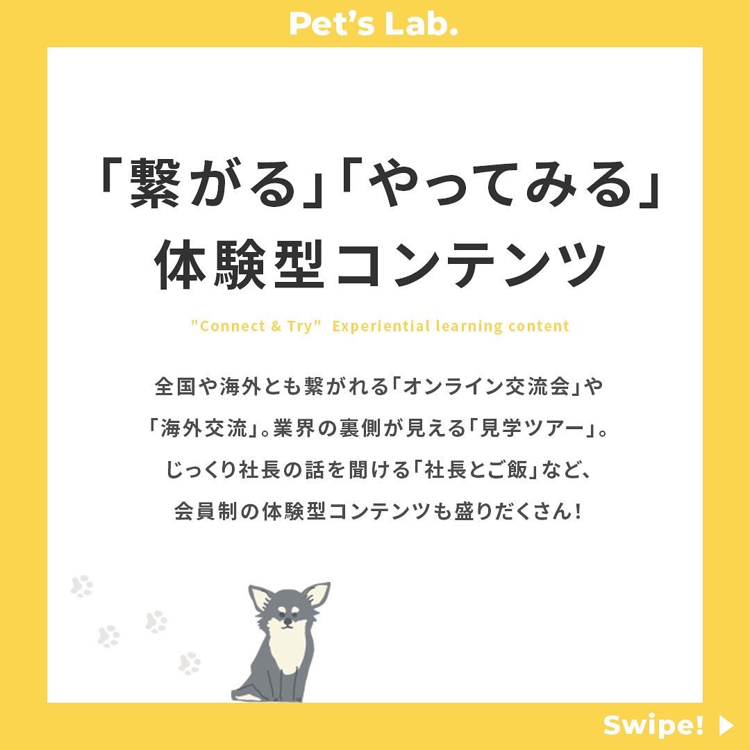 PetsLab1's tweet photo. 全国や海外とも繋がれる「オンライン交流会」や「海外交流」。業界の裏側が見える「見学ツアー」。じっくり社長の話を聞ける「社長とご飯」など、会員制の体験型コンテンツも盛りだくさん！ https://t.co/CF7IvE7Vlh