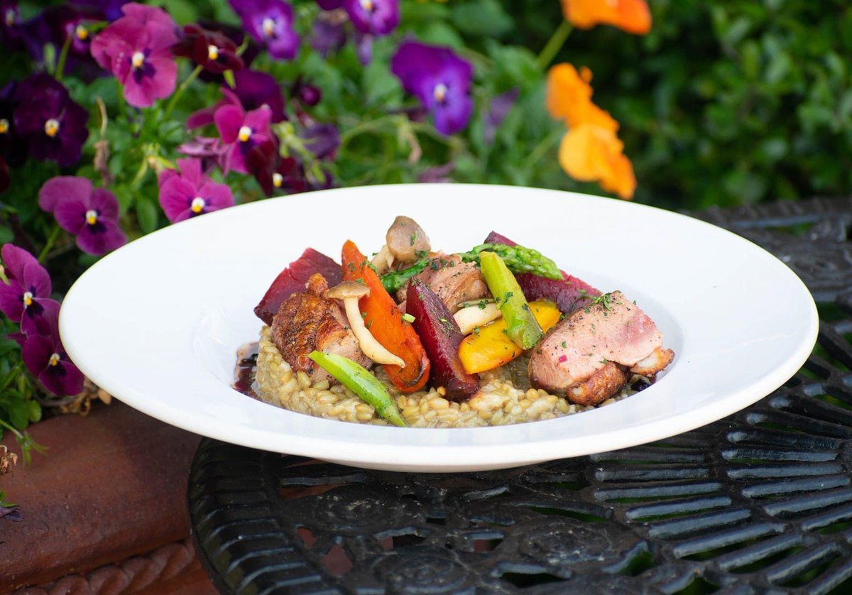 AmoreBirmingham's tweet photo. Seared Duck Breast | Juniper Berry Reduction | Smoked Fero | Roasted Vegetables 😍 #italian #birmingham #alabama https://t.co/inUR0VAUzm