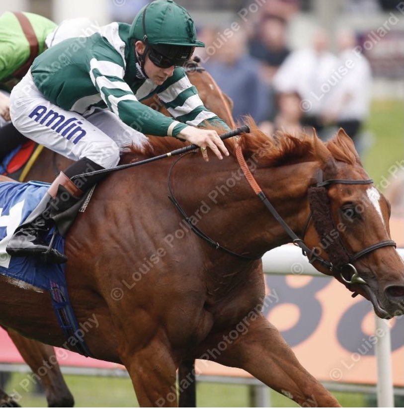 Currently looking for a sponsor for this season approaching if anyone would be interested please contact me 🏇🏽🏇🏽
#horseracing #sponsoredby #sports #advertise