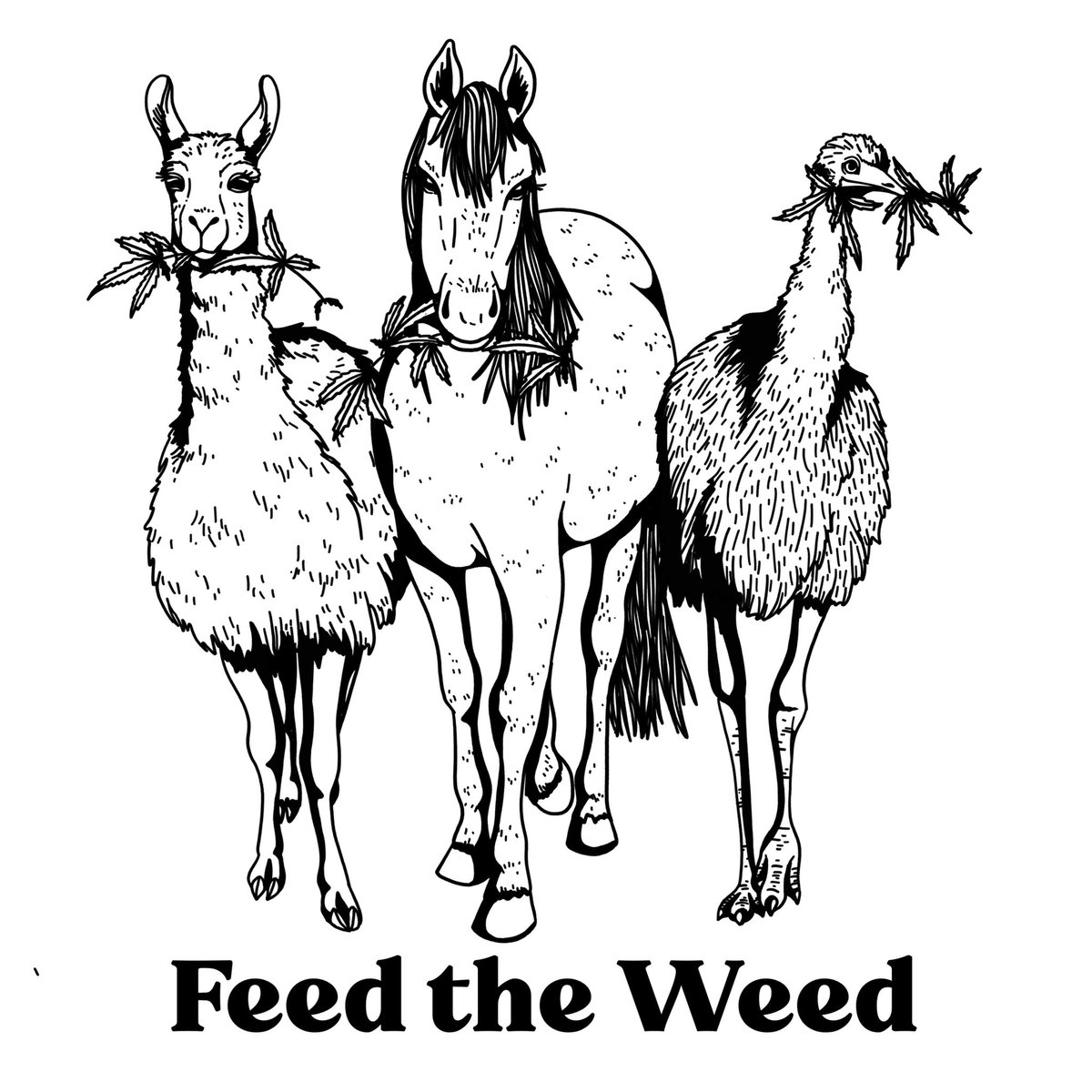 Texas Hemp Growers Association tweet media