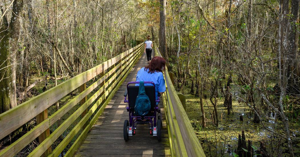 nytimes's tweet photo. Disabled hikers are often met with accessibility challenges overlooked by park staff, leading some to write their own detailed trail guides and even use guide dogs trained for the backcountry.