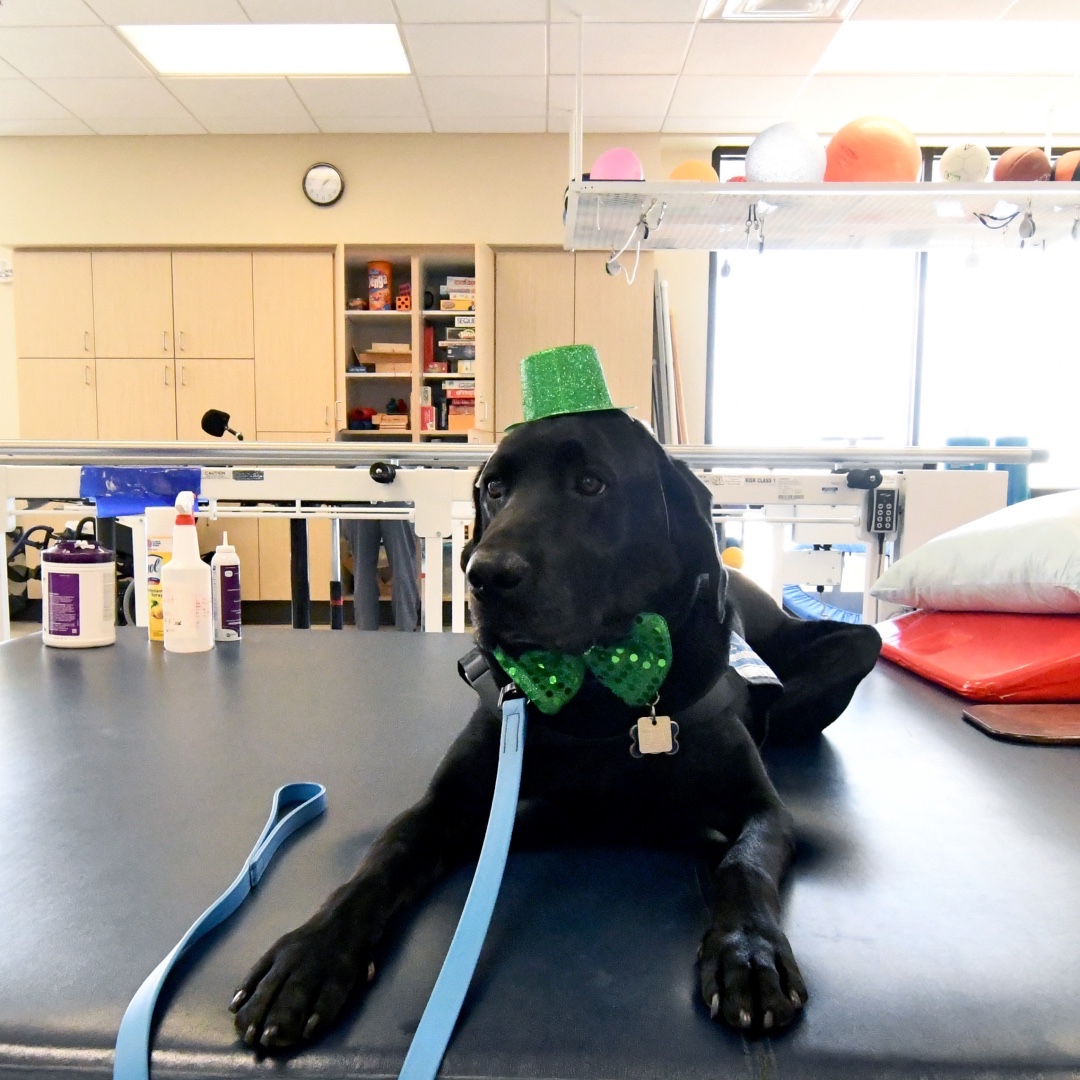 Today was Jan Hawkins' lucky day! After weeks in the hospital following a liver transplant, Hawkins was thrilled to spend this afternoon's occupational therapy session with MRC's therapy dog, Nauvoo. They played fetch and practiced opening and closing treat bags.