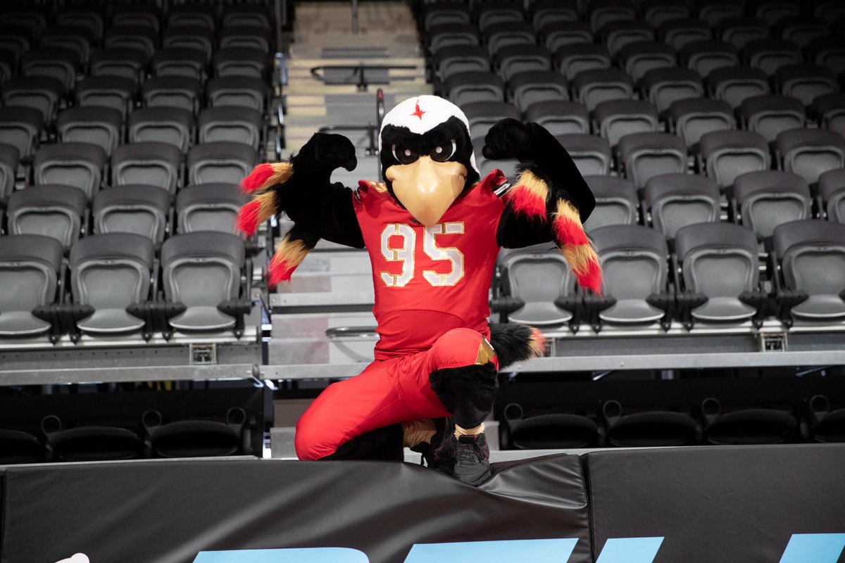 VKHRisk's tweet photo. Super excited for @KnightHawksIFL opening knight tomorrow!! 🤩

And don't forget to follow me ⬇️
Instagram: VKHRisk
TikTok: VKHRisk https://t.co/WDcqBjv7Ha