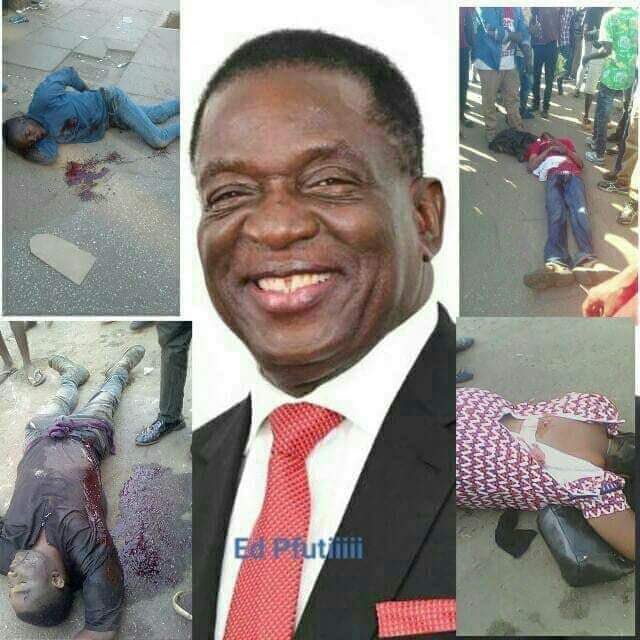 Musvetu1's tweet photo. @zanupf_patriots https://t.co/MYKkOlFMRt