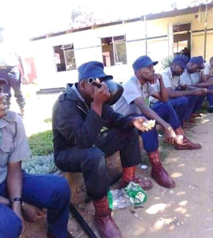 Musvetu1's tweet photo. @ZECzim https://t.co/xpBdAQKCUL