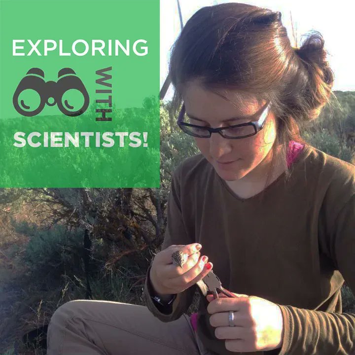 KelloggBioStn's tweet photo. Next up in Exploring with Scientists: Elizeth Cinto-Mejía talks about birds and the noisiness of their habitats. Register for the Zoom link: https://t.co/jeQZ0NSrDi @Elizethcm #KBSscience https://t.co/vPlc7zXjqL