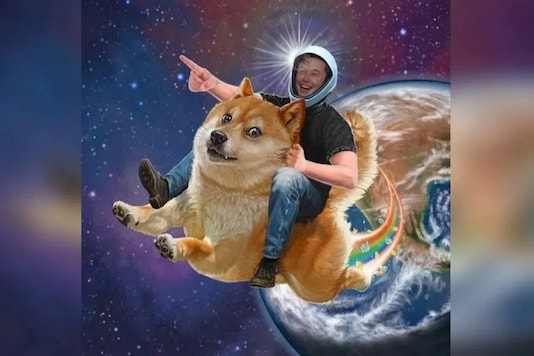 0x_roque's tweet photo. @elonmusk @Rogozin doge > bear https://t.co/J8ziVNFS7r