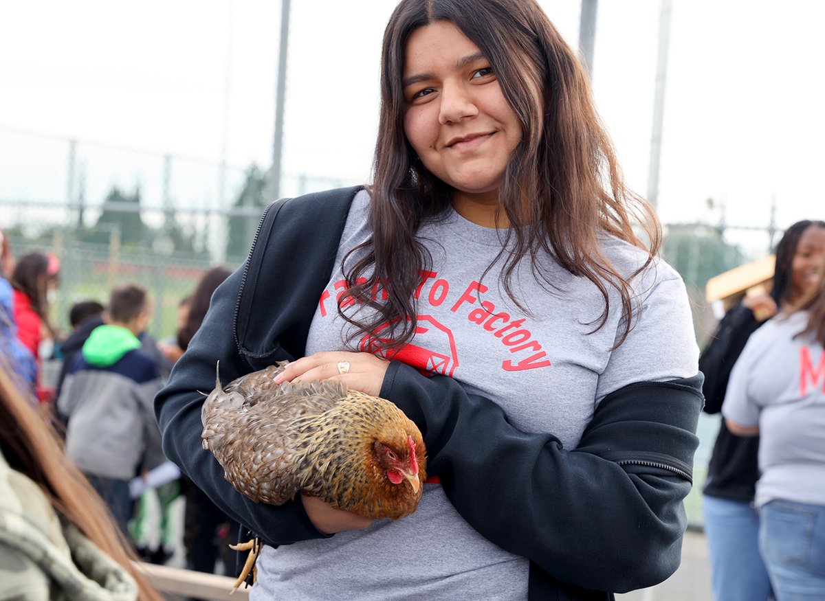 CeresUSD's tweet photo. There’s no better way to spend a morning than with 9⃣0⃣0⃣ 3rd-graders visiting #FarmToFactory Day at @chsbulldogpride. What an outstanding event! See  more pics at https://t.co/0TSlK4MBTh. 🐇🐔🐐🐄🐷🚜🥽🔨 #NowWeWantaBunny #CeresLearns https://t.co/oSr7C31x4h