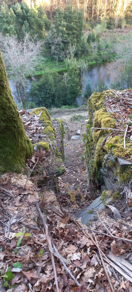 AdrianJMcManus's tweet photo. Remains of ancient stone walling and stairs that led down to the riverside where boats would be waiting to transport grapes into town during harvest. #VineyardRestoration #APicha #PagosdeBrigante https://t.co/wKxGoFQhmR