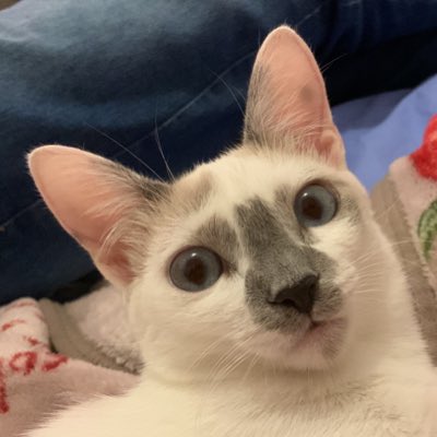 CmlRE's tweet photo. #NovaFotoDoPerfil https://t.co/YWady9qMbh