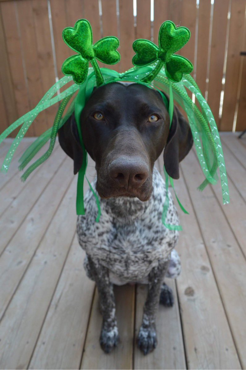 Mila ♡ tweet media