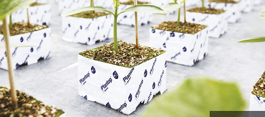 OPFexpo's tweet photo. En Asesores en Invernaderos cuentan con la experiencia de haber sido productores en invernadero por más de 11 años, lo cual les da la ventaja de entender perfectamente las necesidades de sus clientes.

Contáctalos en: https://t.co/HJ2b0IuRYk

#agroinsumos #opfexpo2022 https://t.co/wAwFu9O5ip
