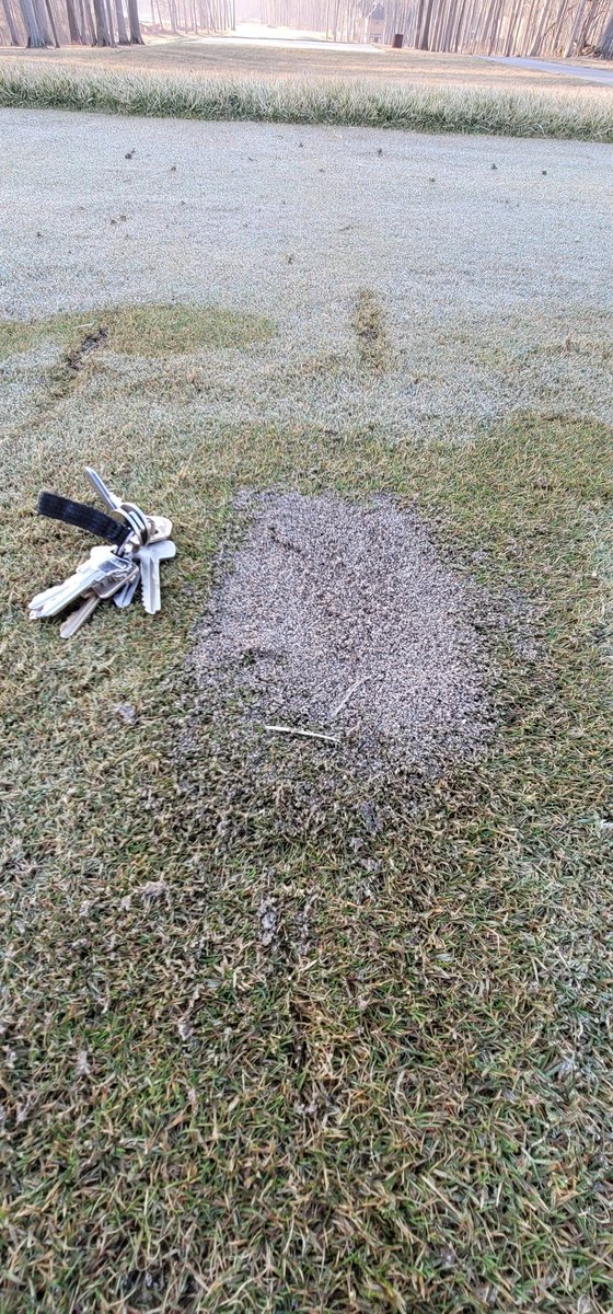 HFTurf's tweet image. When taking a divot from a tee or fairway, the following pictures show the correct way to repair a divot. 1) Pick up old divot if possible and replace 2) Fill the divot with sand 3) Smooth off the sand with your foot or the scoop.