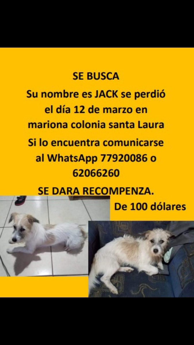 PEsperanza503's tweet photo. #ServicioSocial https://t.co/P89UCDRSQE