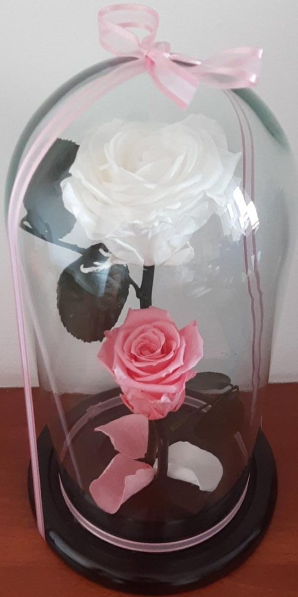 Jorge Rivera tweet media