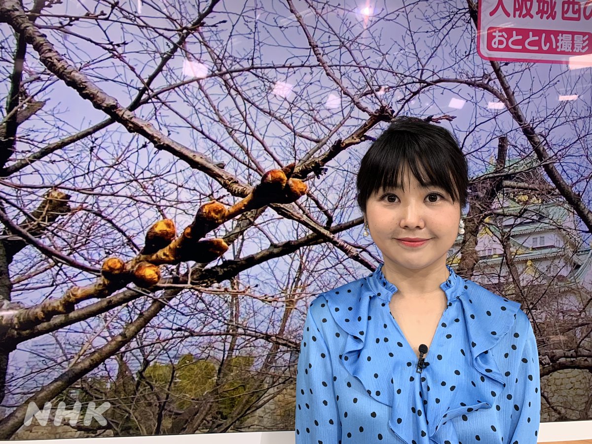 Nhk大阪放送局 S Tweet おはよう関西 桜の開花予想を伝えた今週 開花が笑顔なら いまの表情は 私 大川悠介 のむちゃぶりに 塩見泰子 さんが出した答えがこちら 桜満開 笑顔満開 の写真も撮って見比べましょうね 来週後半からは近畿でも開花の便りが