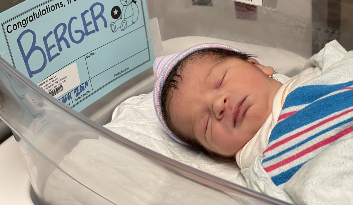 Rebecca Berger 🇮🇱 tweet media