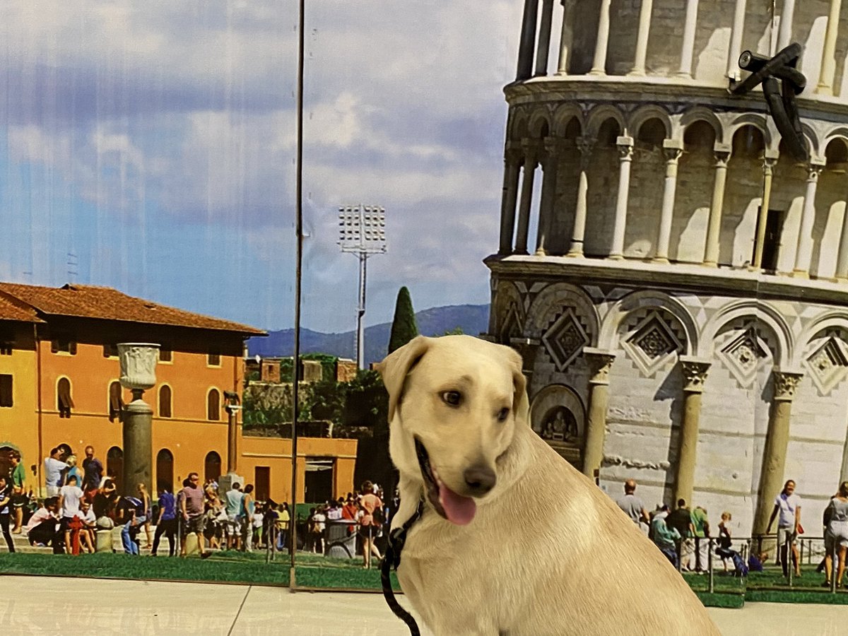 BellaExplora's tweet image. Daddy kept calling me Bellisima and kept asking me to tilt my head by 4 degrees 

Does anyone know why?  

My daddy can be really weird sometimes 🤷🏻