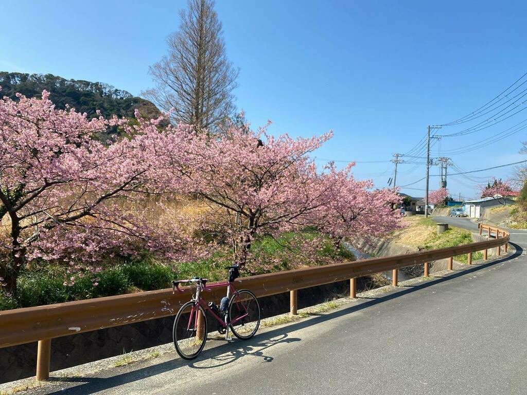 KingoftheSquare's tweet photo. Karatsu Sakura in Chiba.
#roadcycling #strava #stravacycling https://t.co/05nmAaN4Y2 https://t.co/lCdvYdqHKb