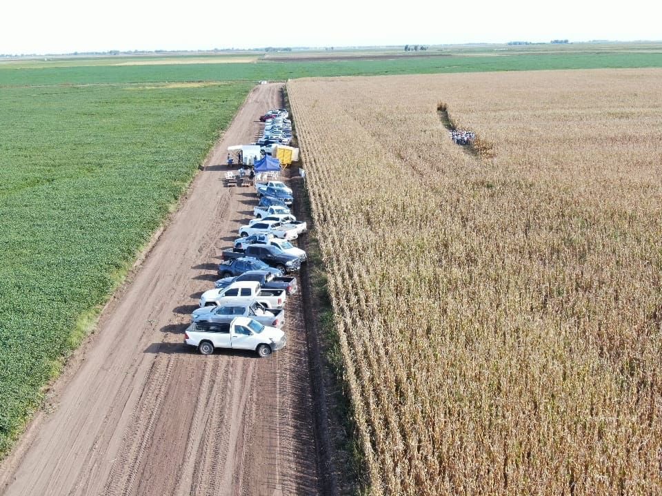 Integral Agropecuaria SRL tweet media