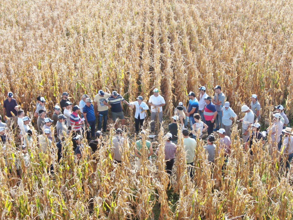 Integral Agropecuaria SRL tweet media