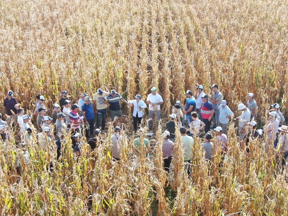 Integral Agropecuaria SRL tweet media